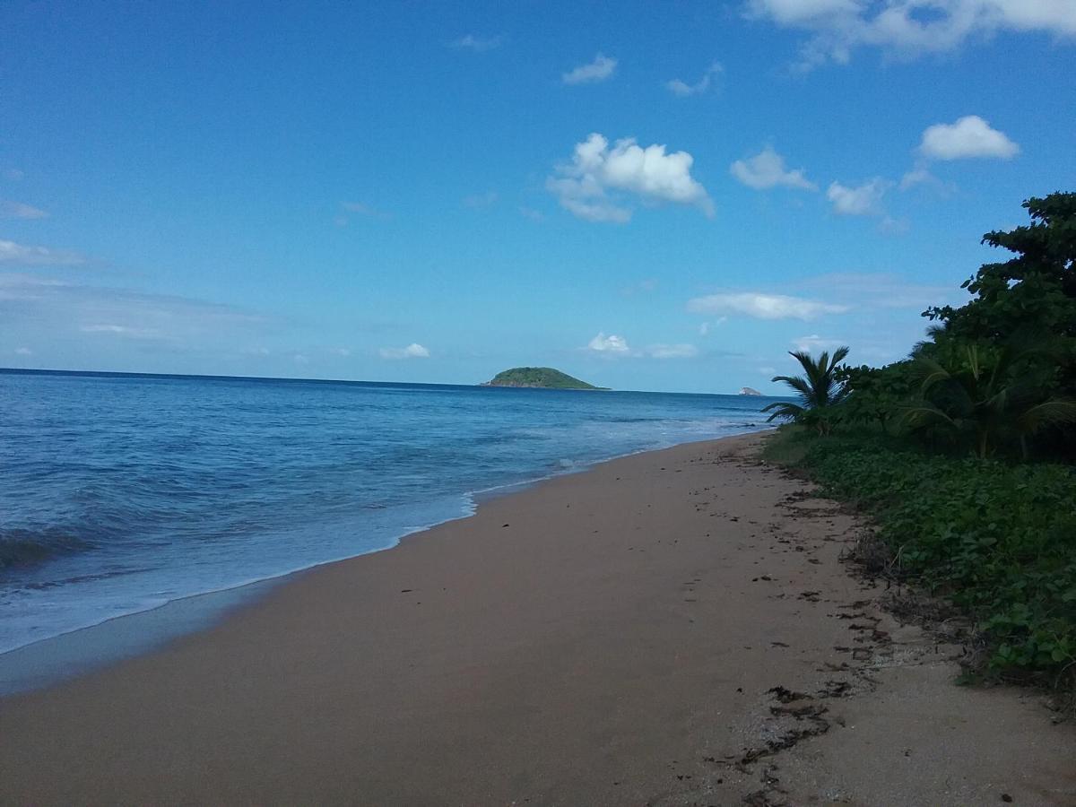 Katalo Plage Deshaies Extérieur photo